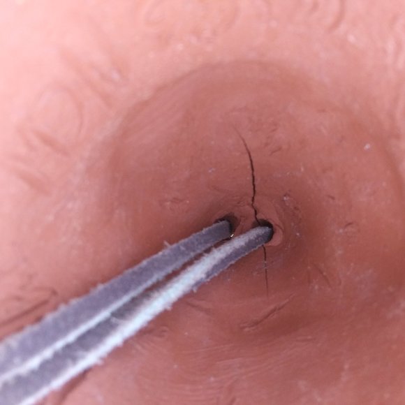 handcrafted Eskimo Bell blueberries - Picture 15 of 15